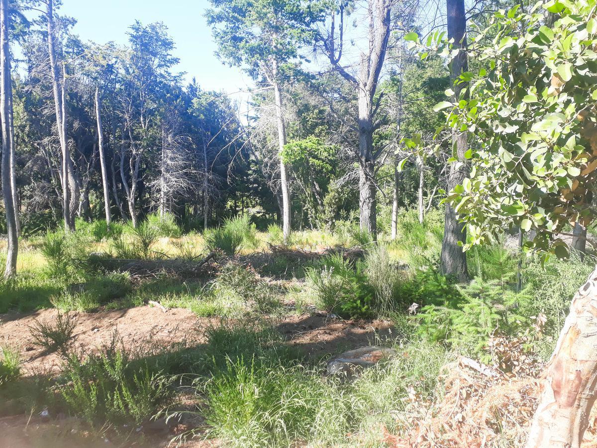Lote Apto Emprendimiento Turístico, Sobre V. Bustillo Km 21 - Bariloche 2