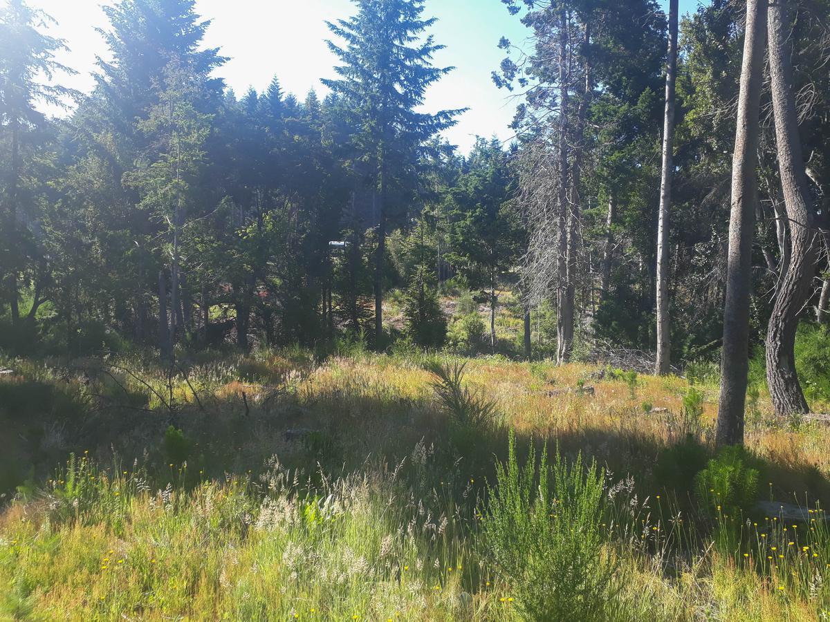 Lote Apto Emprendimiento Turístico, Sobre V. Bustillo Km 21 - Bariloche 3