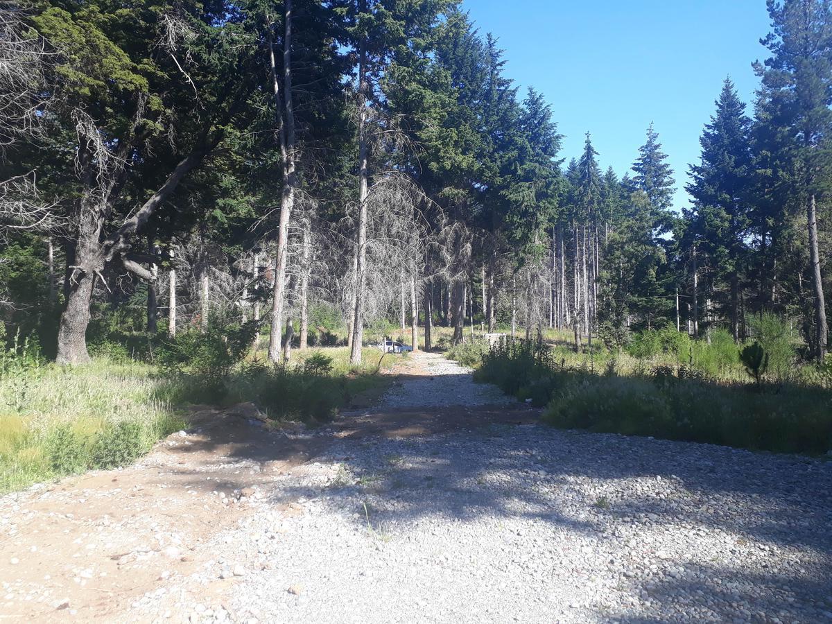 Lote Apto Turístico Gastronómico Av Bustillo Km 21 - Bariloche 5