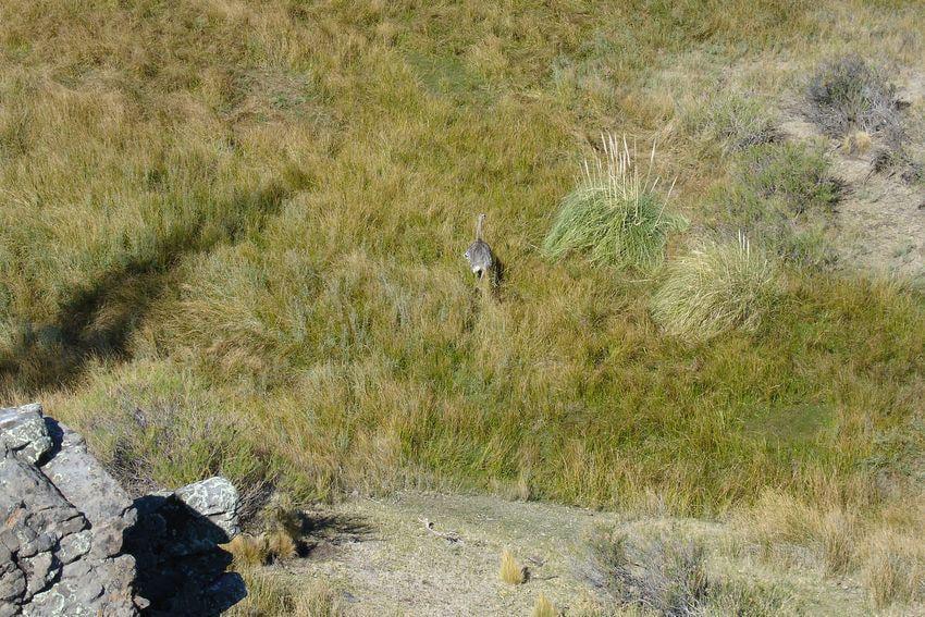 Campo Sobre Río Pichileufu, Río Negro. Ruta 40 Vieja - Bariloche 5