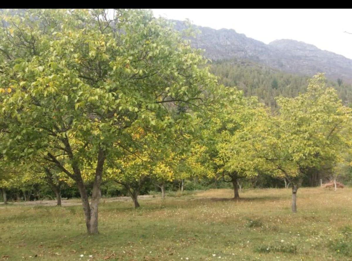 Aldea "Kalfuco" en Lago Puelo 1
