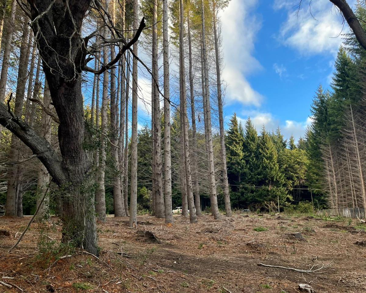 Terreno - Bariloche 2