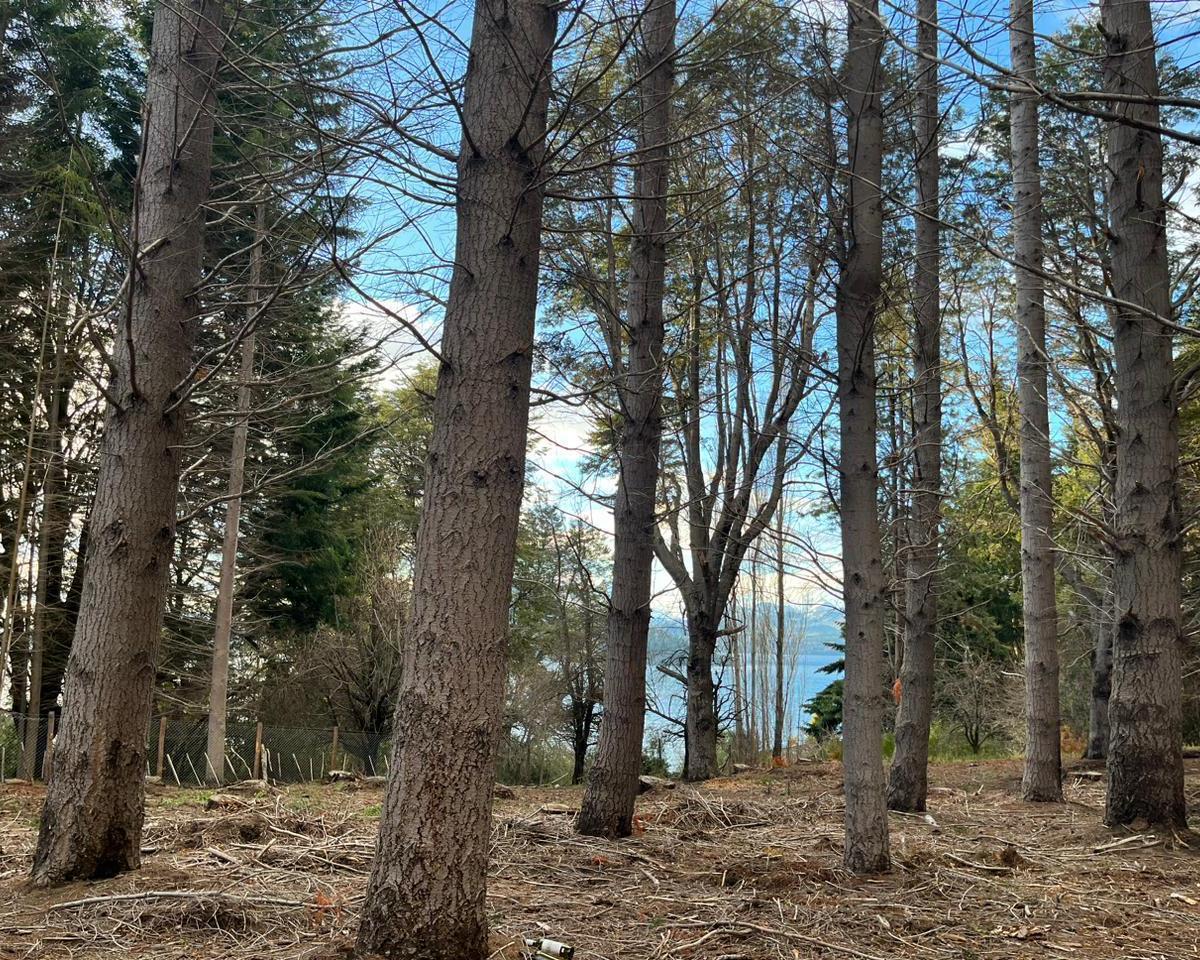 Terreno - Bariloche 5
