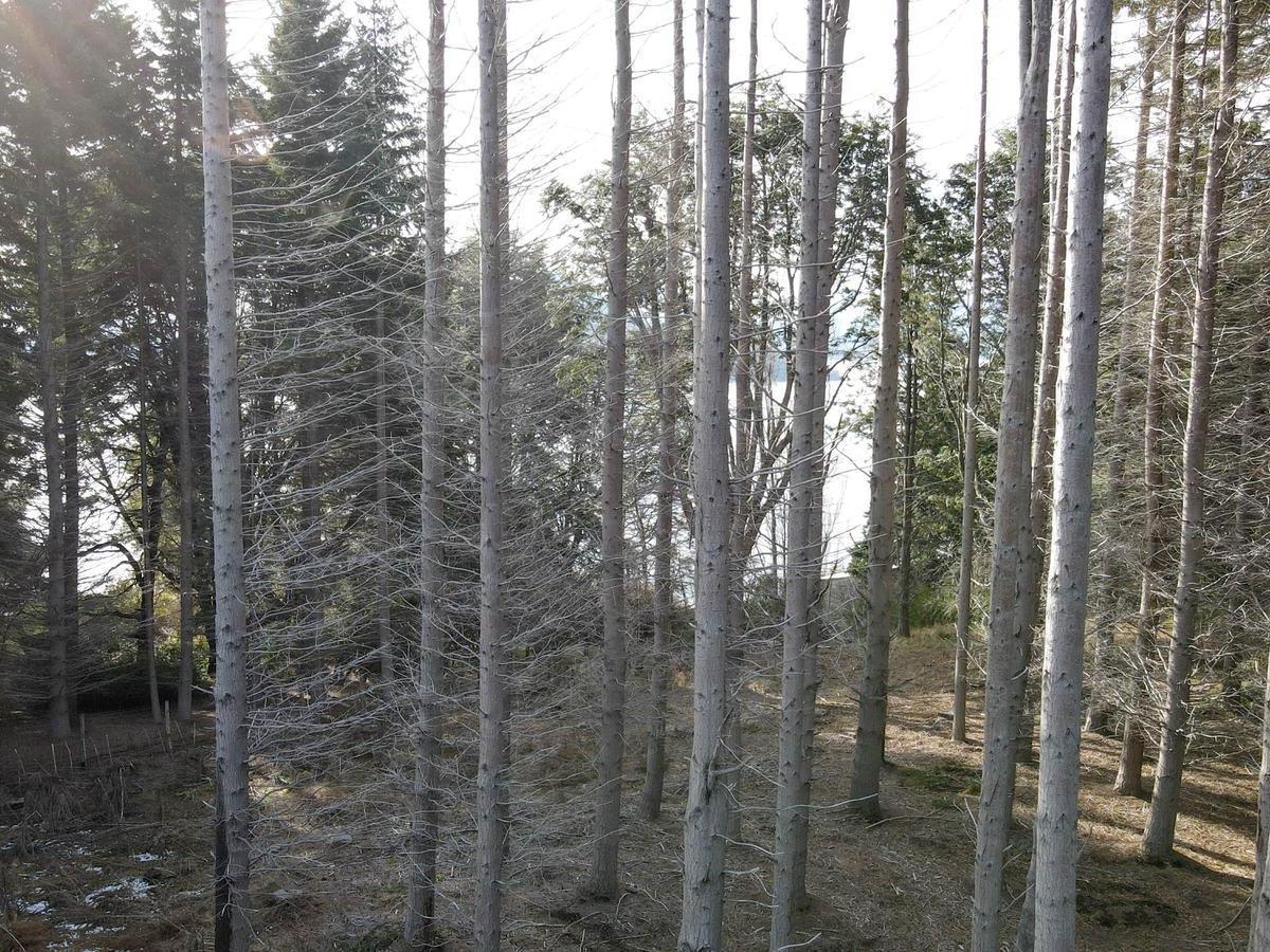 Terreno - Bariloche 4