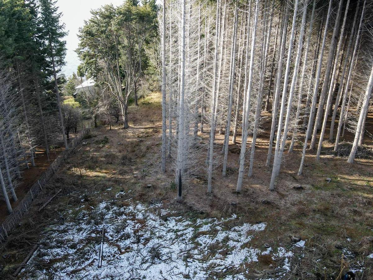 Terreno - Bariloche 4