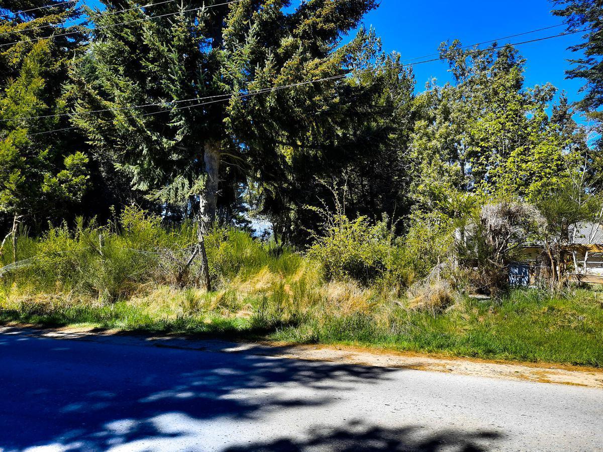 Península de San Pedro Costa de Lago Nahuel Huapi 3