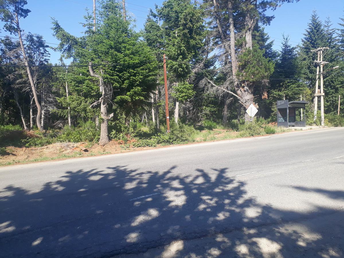 Lote Apto Turístico Gastronómico Av Bustillo Km 21 - Bariloche 3
