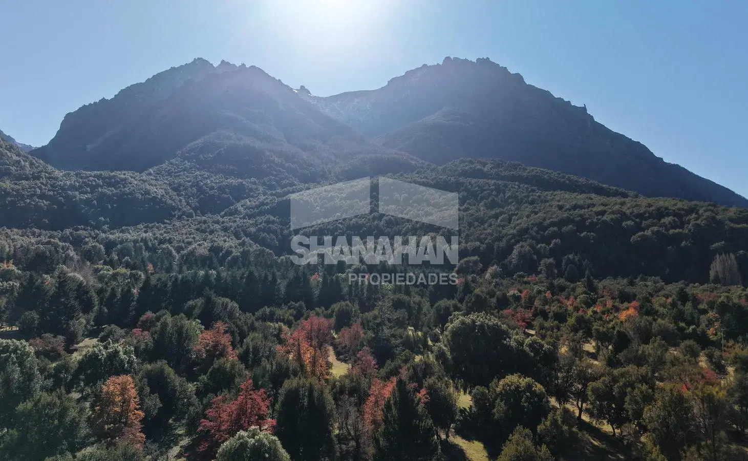 Venta excelente chacra en Mascardi - Bariloche 1