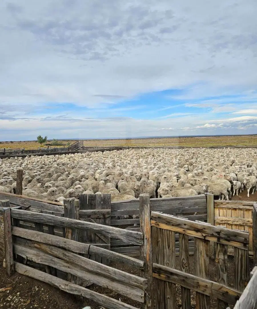 Venta campo en Ing. Jacobacci - Río Negro 3