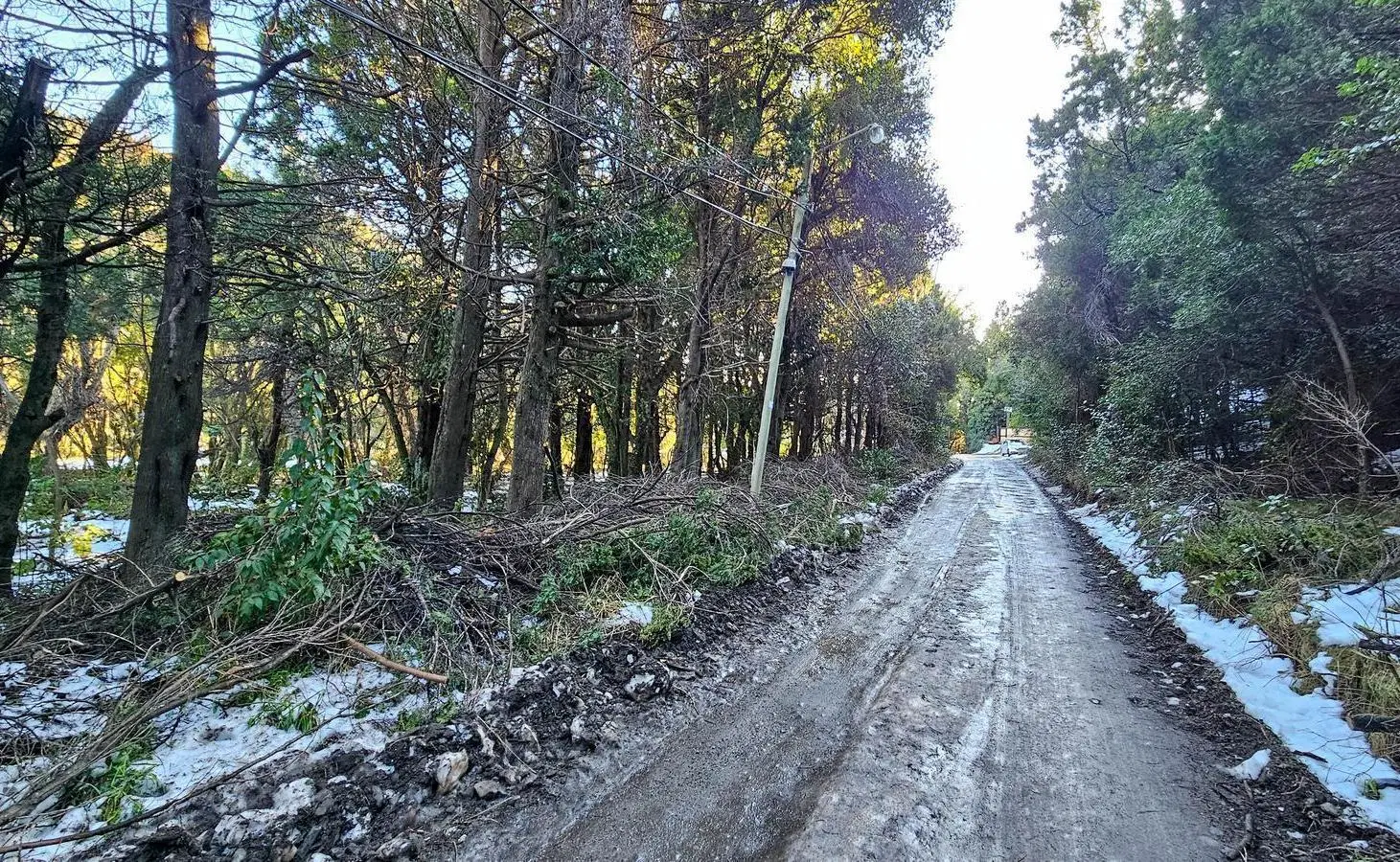 Co Runge Barrio Belgrano - Bariloche 1