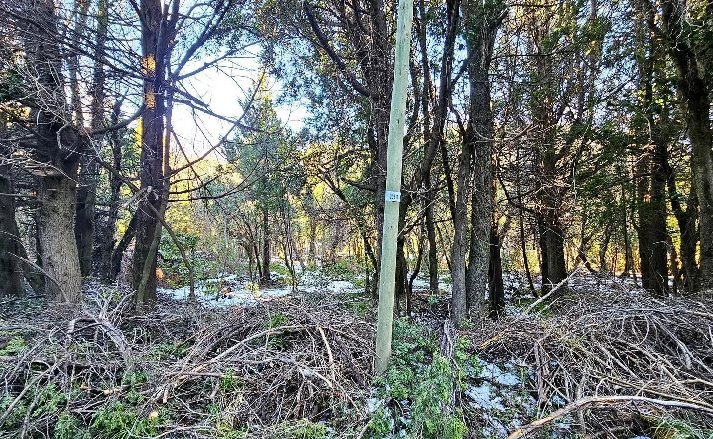 Co Runge Barrio Belgrano - Bariloche 8