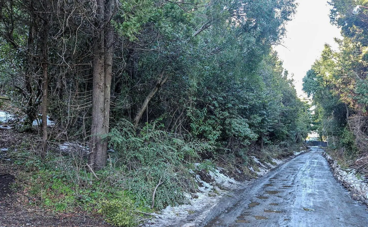 Venta lote Co. Runge - Barrio Belgrano - Bariloche 4