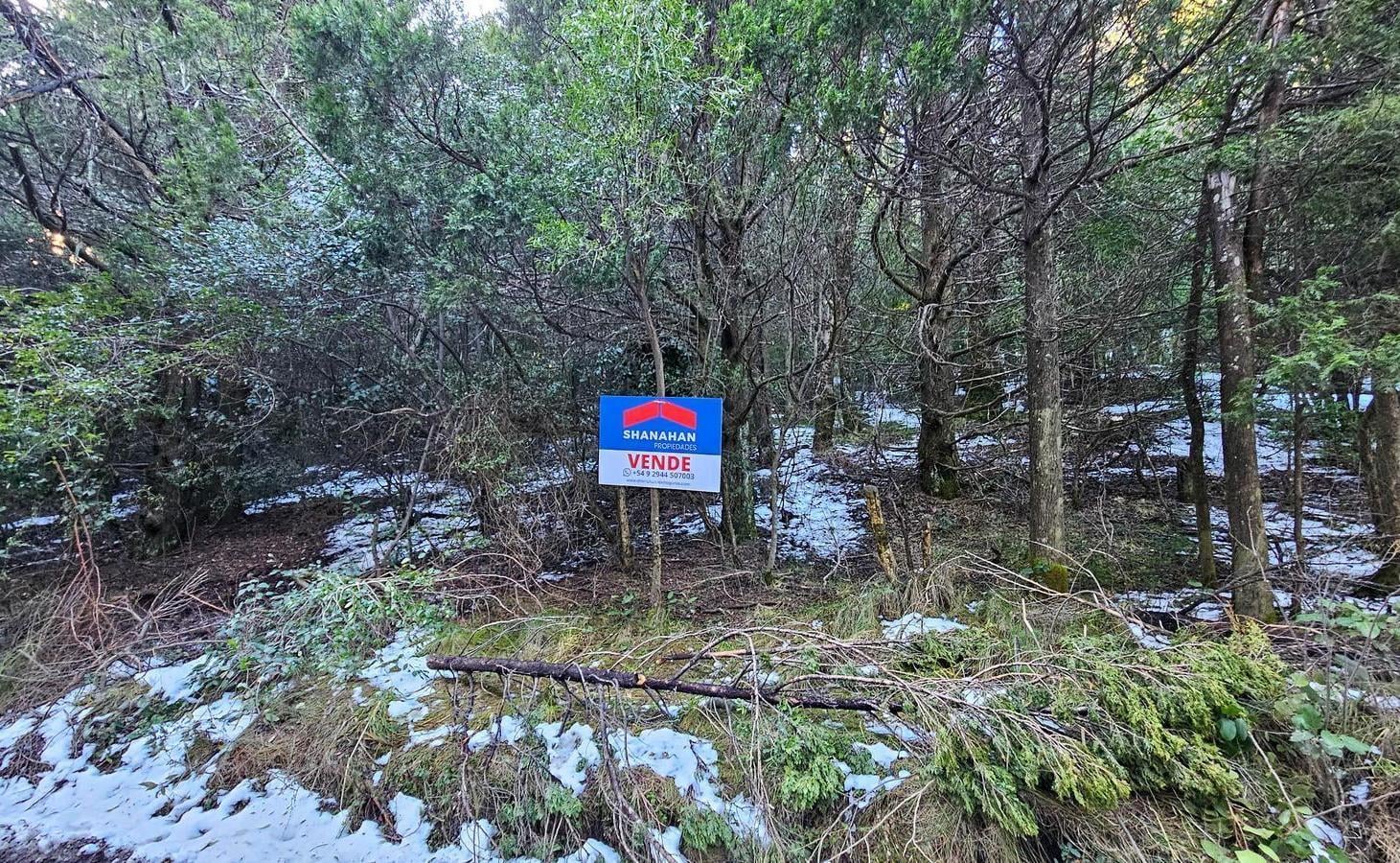 Foto de Venta lote Co. Runge - Barrio Belgrano - Bariloche, imagen 3