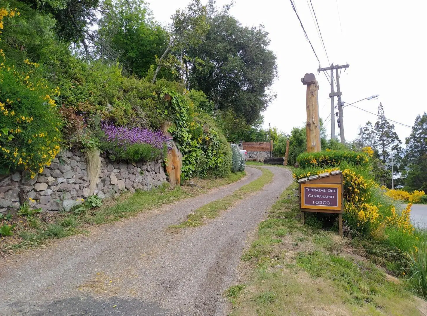 Sobre ruta km 16,5 Complejo de 5 cabañas y una casa - Bariloche 2