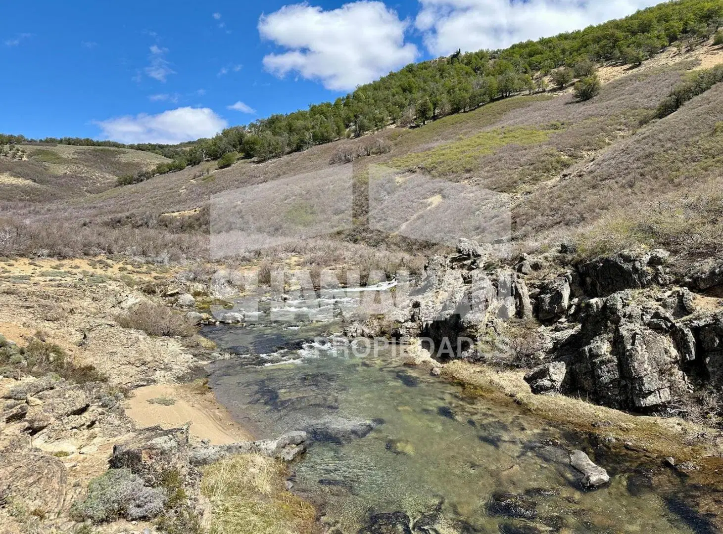 Campo en Pilcaniyeu - Río Negro 3