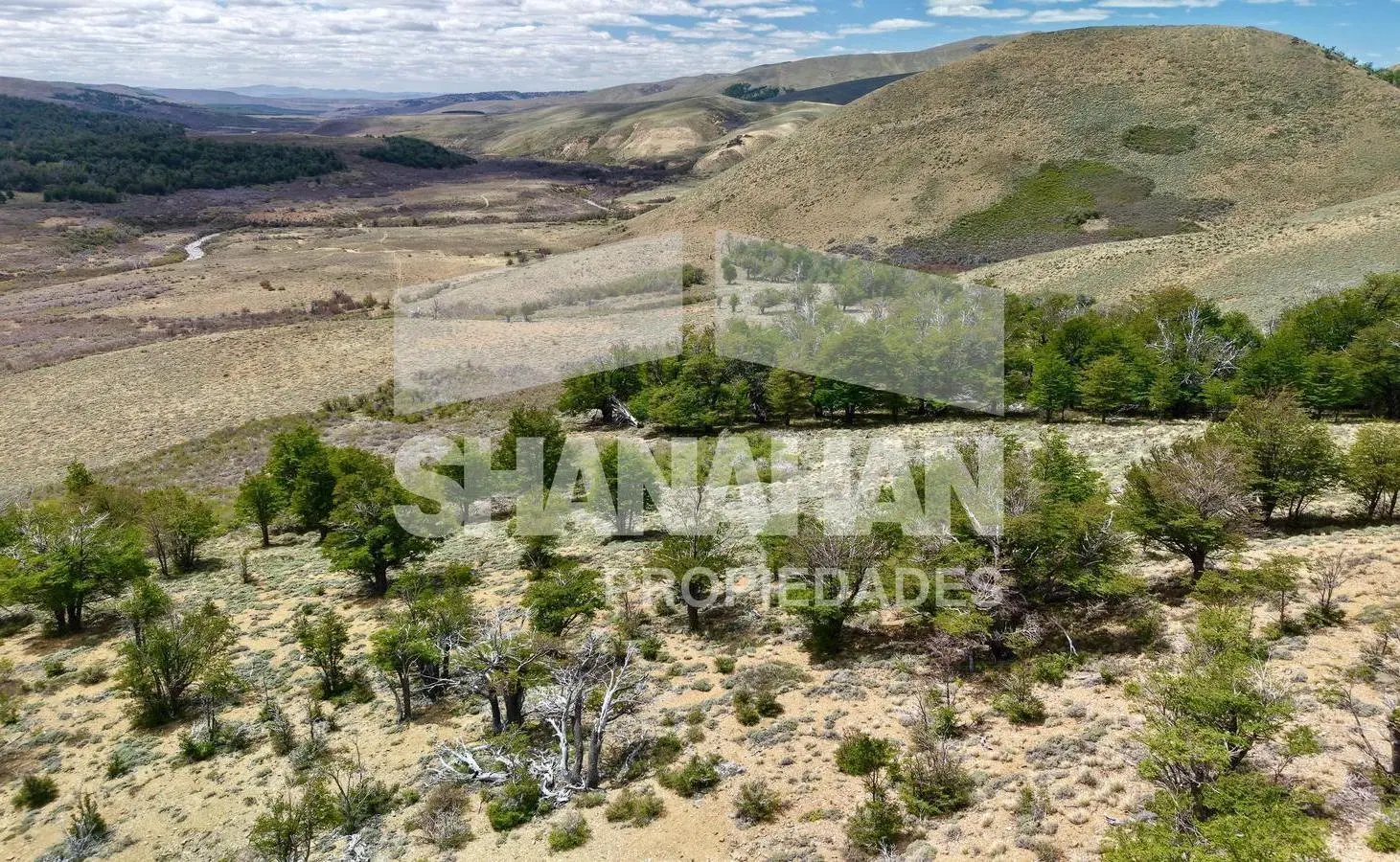 Campo en Pilcaniyeu - Río Negro 2