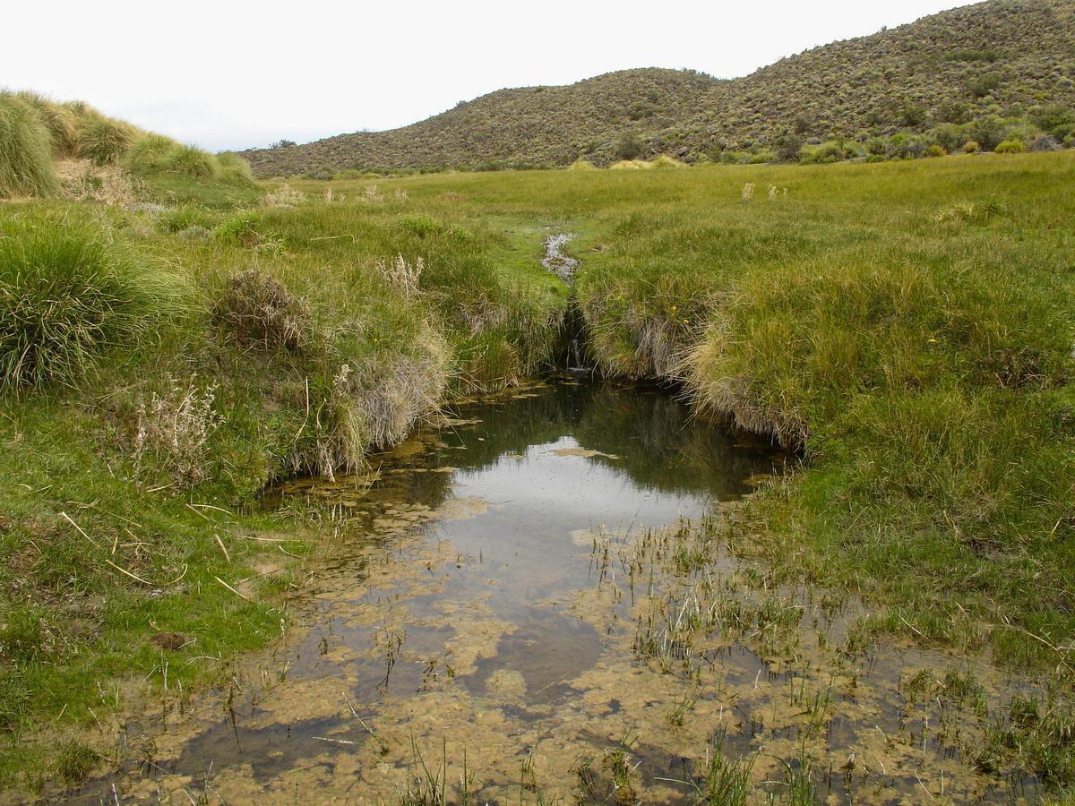 Foto de Venta campo 13.685 has cercano a Ingeniero Jacobacci - Río Negro, imagen 2