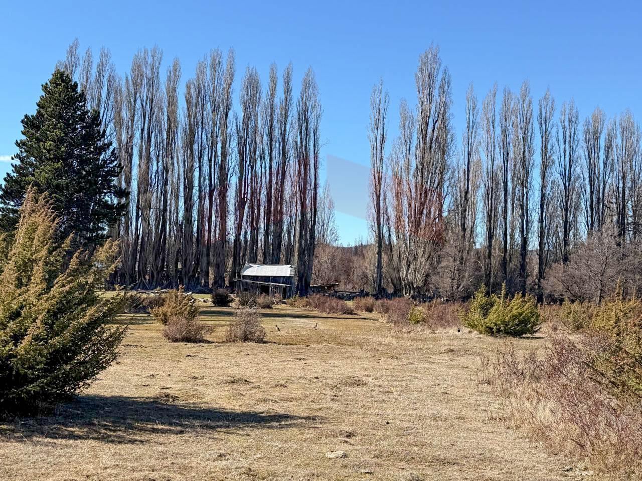 Foto de Venta chacra 20has en Epuyén - Chubut, imagen 2