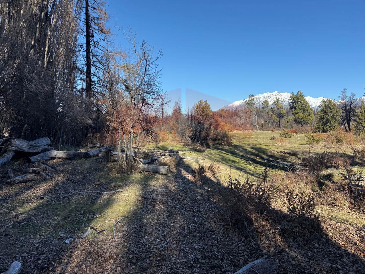 Foto de Venta chacra 20has en Epuyén - Chubut, imagen 5
