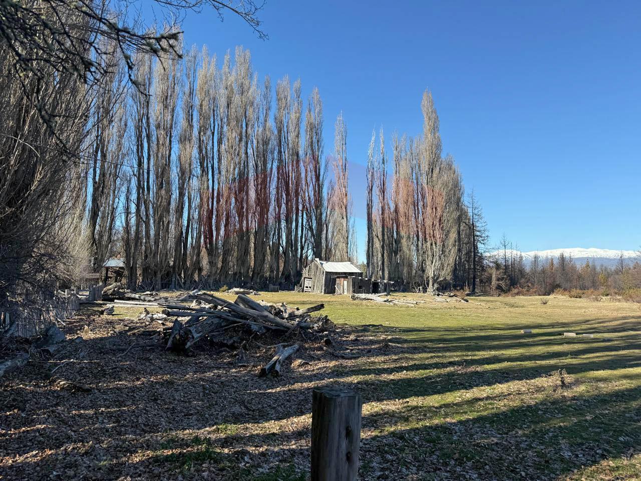 Foto de Venta chacra 20has en Epuyén - Chubut, imagen 3