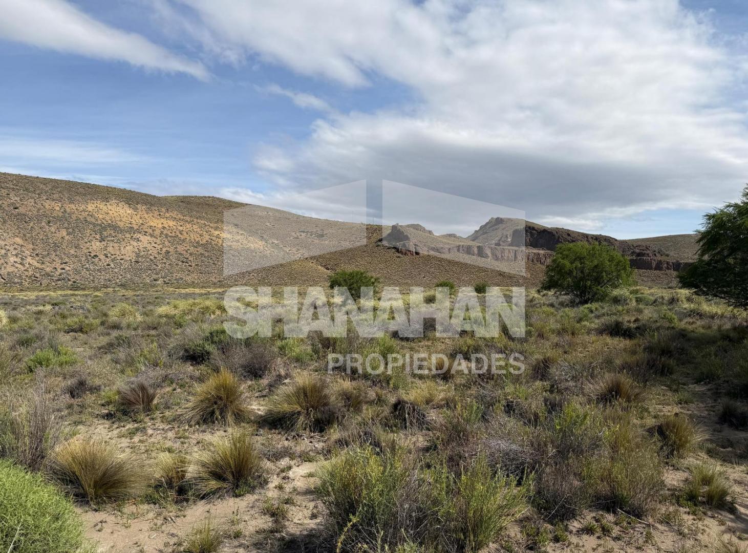 Foto de Fracción con acceso a la costa río Limay, imagen 4