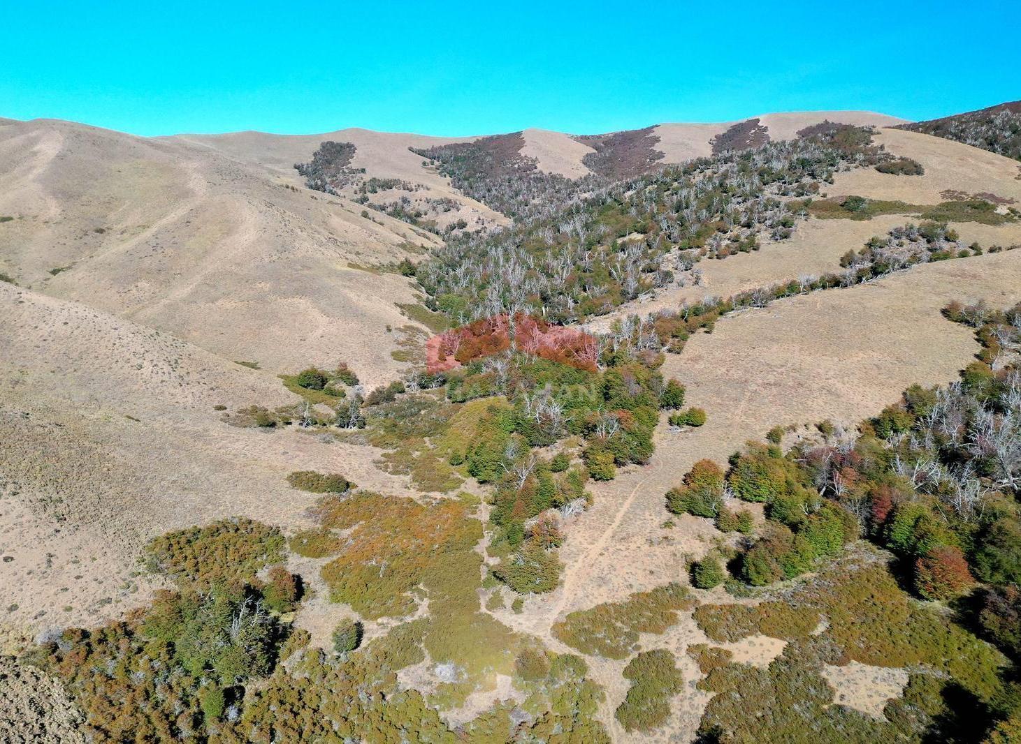 Foto de Campo 3.500 has en Río Negro, imagen 2