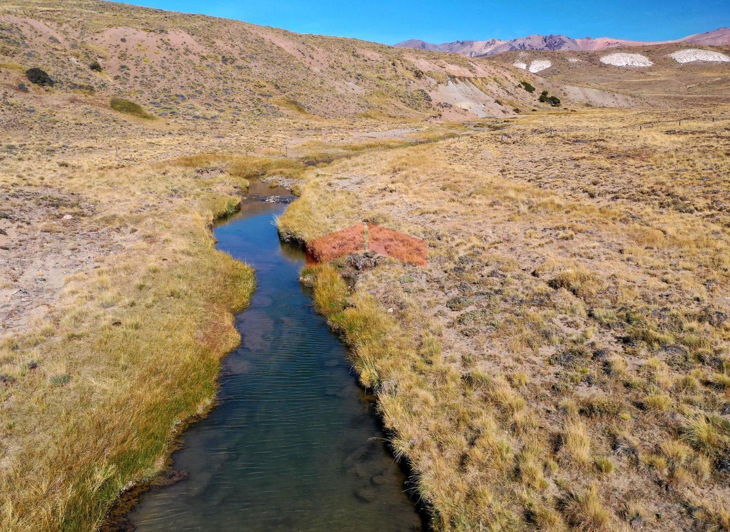 Foto de Campo 3.500 has en Río Negro, imagen 1