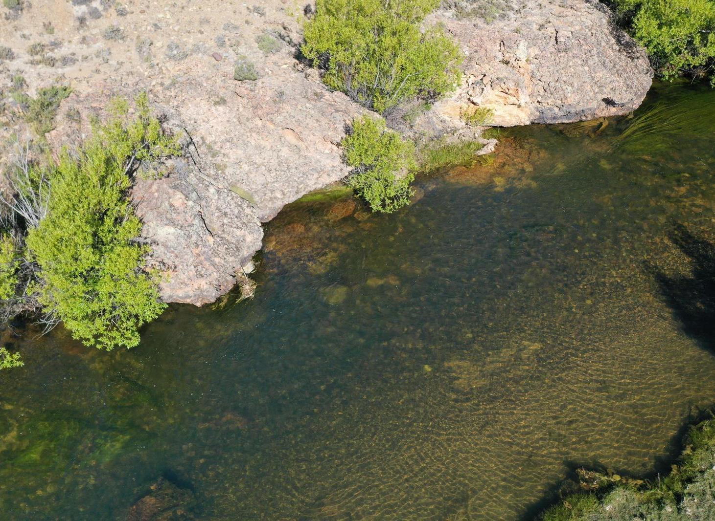 Foto de Campo en Río Pichileufu, Patagonia, Argentina, imagen 3