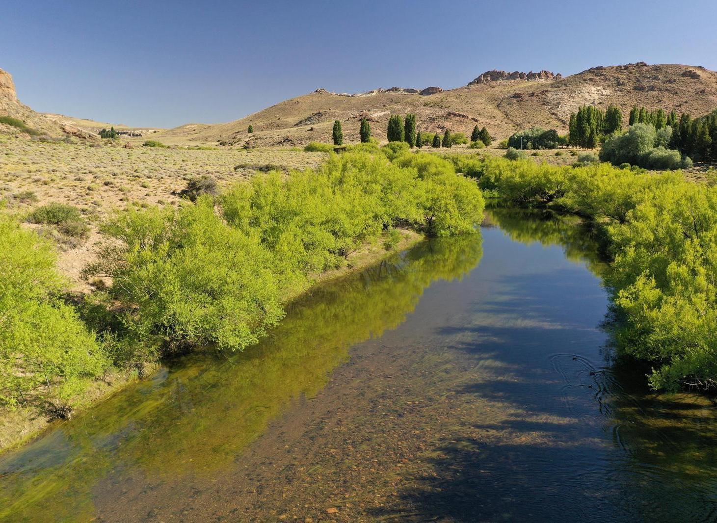 Foto de Campo en Río Pichileufu, Patagonia, Argentina, imagen 2