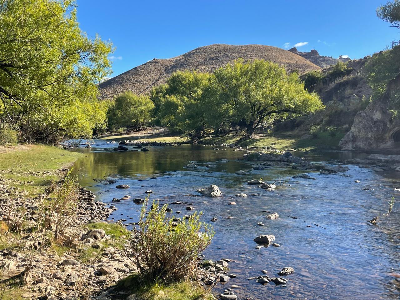 Foto de Campo en Río Pichileufu, Patagonia, Argentina, imagen 1