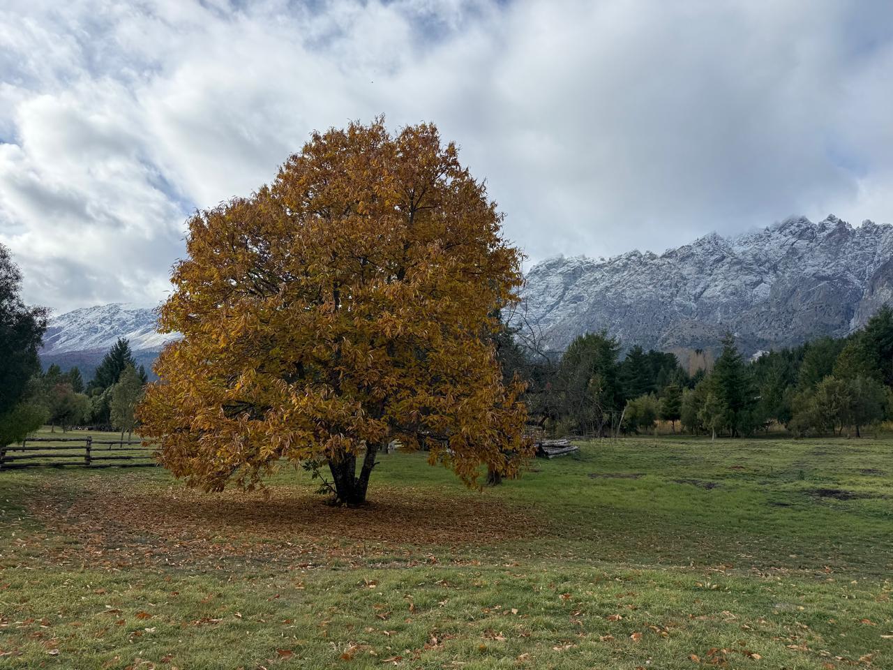 Foto de Chacra en Las Golondrinas - OPORTUNIDAD, imagen 4