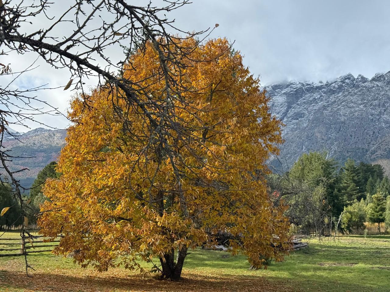 Foto de Chacra en Las Golondrinas - OPORTUNIDAD, imagen 3