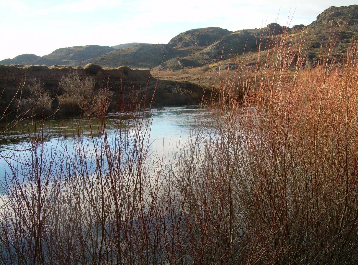 Foto de Venta campo en Río Pico - Chubut, imagen 5