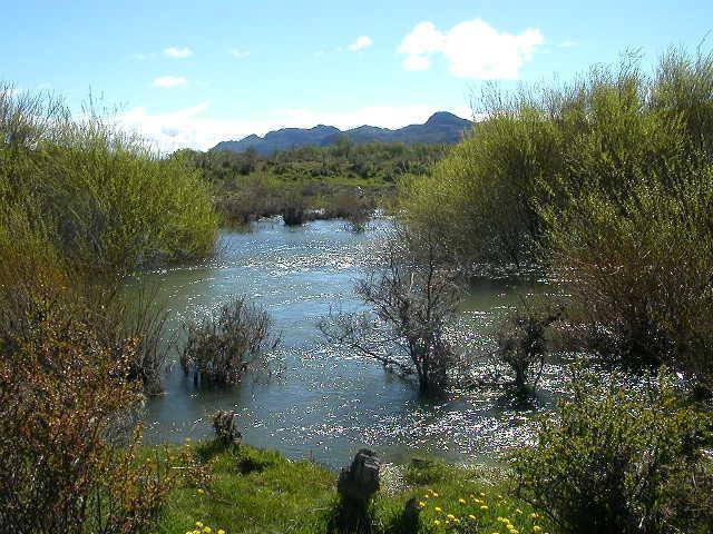 Foto de Venta campo en Río Pico - Chubut, imagen 4