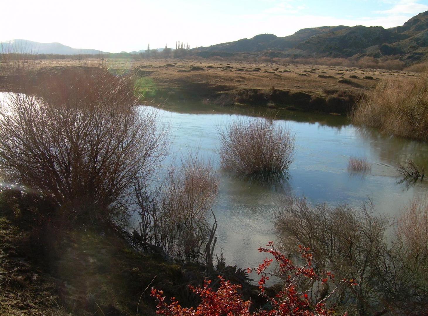 Foto de Venta campo en Río Pico - Chubut, imagen 3