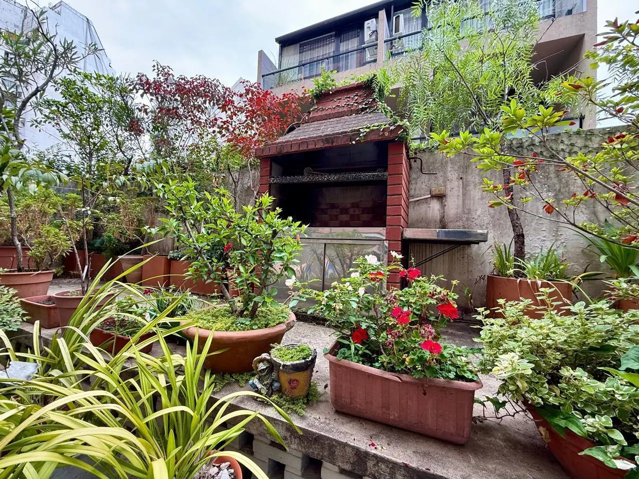 venta las cañitas  3 ambientes. hermoso patio. con parrilla. en las cañitas 2