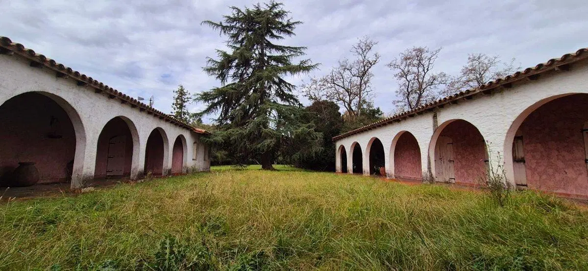 VENTA ESTANCIA LA FRANCESA BRANDSEN/CAMPO MIXTO 4