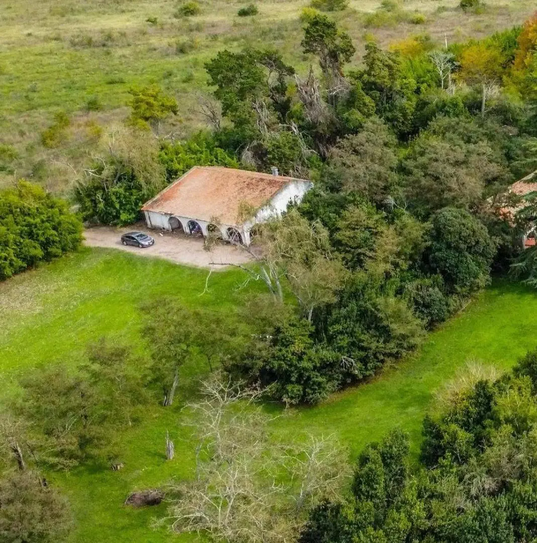 VENTA ESTANCIA LA FRANCESA BRANDSEN/CAMPO MIXTO 3