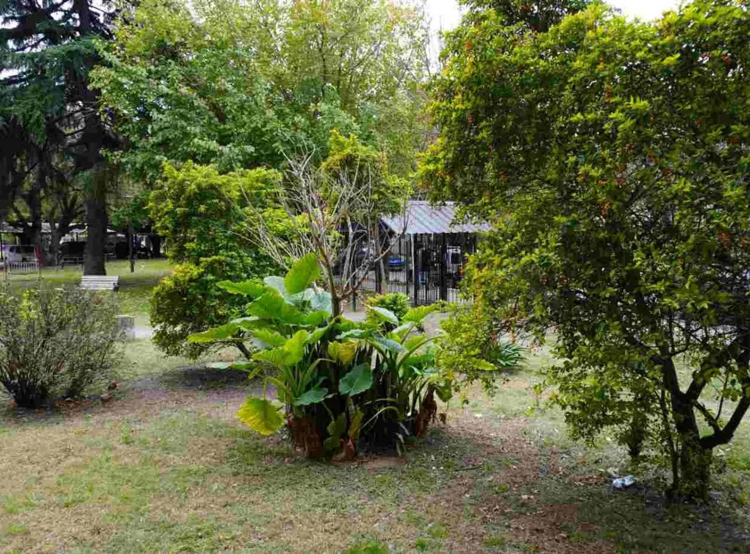 Venta Depto 3 Ambientes en planta baja 5