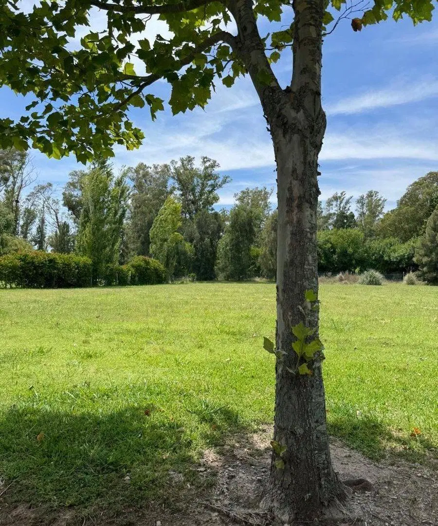 Lote en venta. Área 60, La Escondida. OPORTUNIDAD! 4