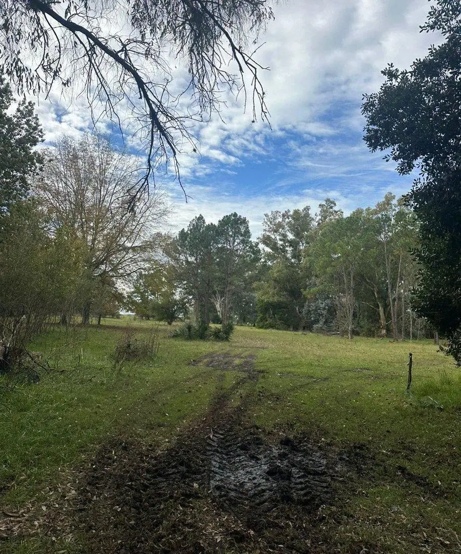 VENTA ESTANCIA LA FRANCESA BRANDSEN/CAMPO MIXTO 4