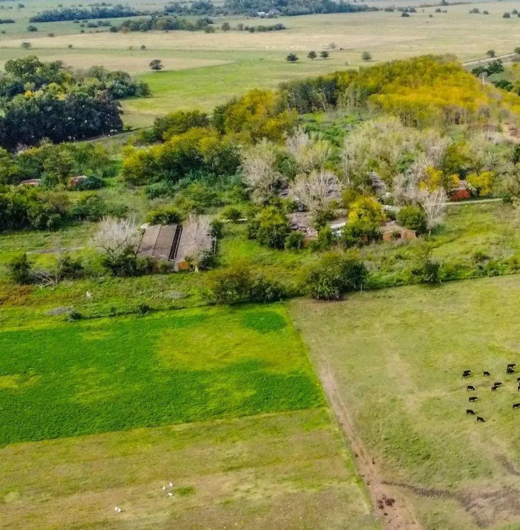 VENTA ESTANCIA LA FRANCESA BRANDSEN/CAMPO MIXTO 5