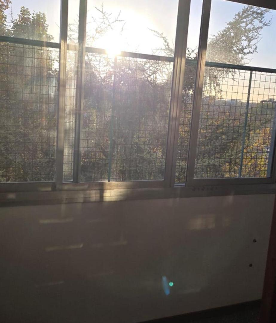 Foto de Alquile 4 ambientes con lavadero y jardin, imagen 5