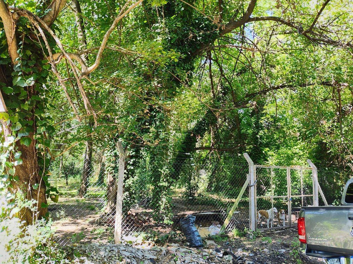 Foto de LOTE EN GENERAL RODRIGUEZ - B Pque. ORENSE C/Escr, imagen 3