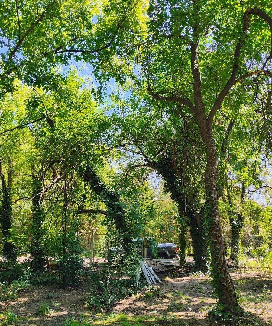 Foto de LOTE EN GENERAL RODRIGUEZ - B Pque. ORENSE C/Escr, imagen 1