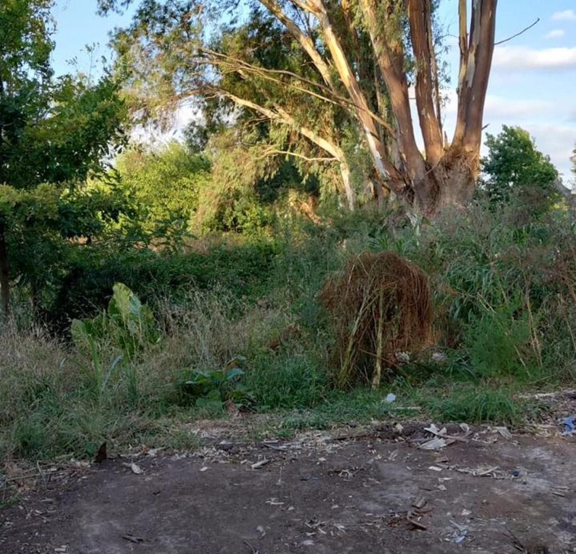 Foto de lote 1 entre pilara y estancias de pilar, imagen 2