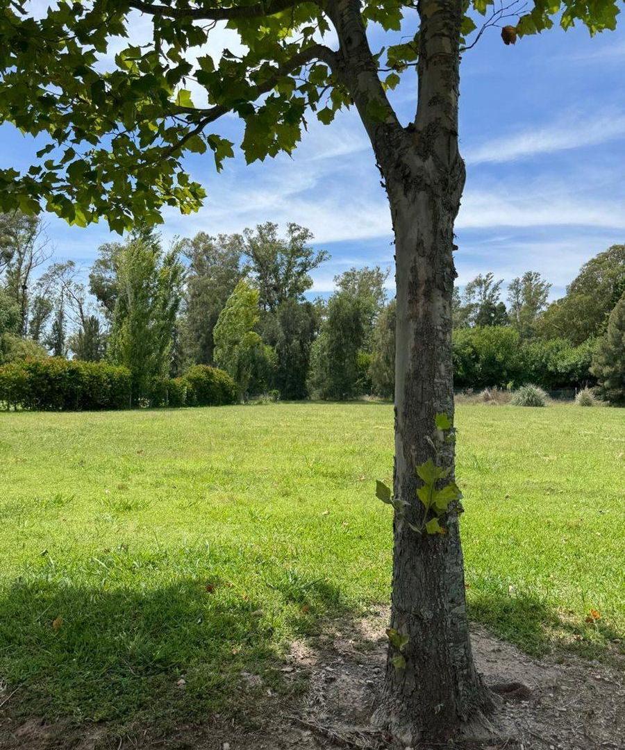 Foto de Lote en Área 60 La Escondida. OPORTUNIDAD!, imagen 4