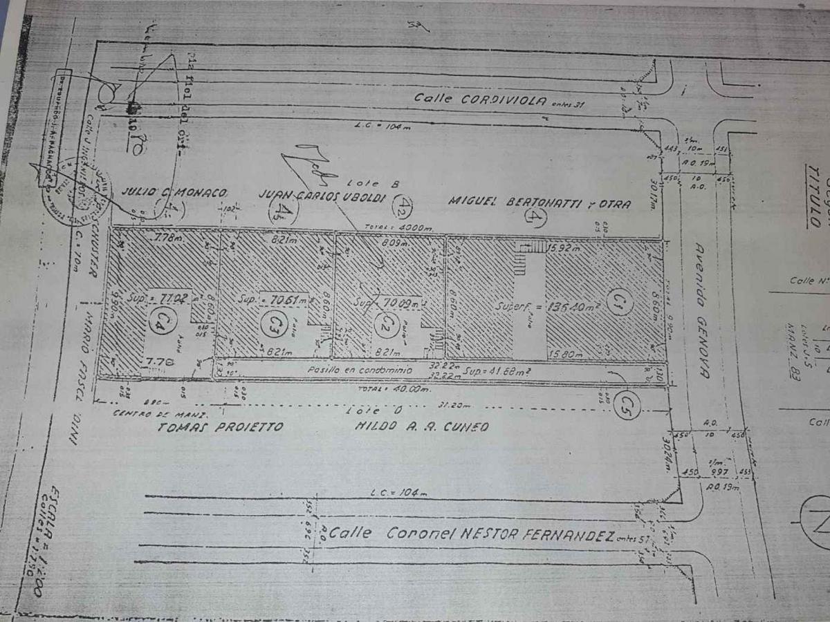Plano 1