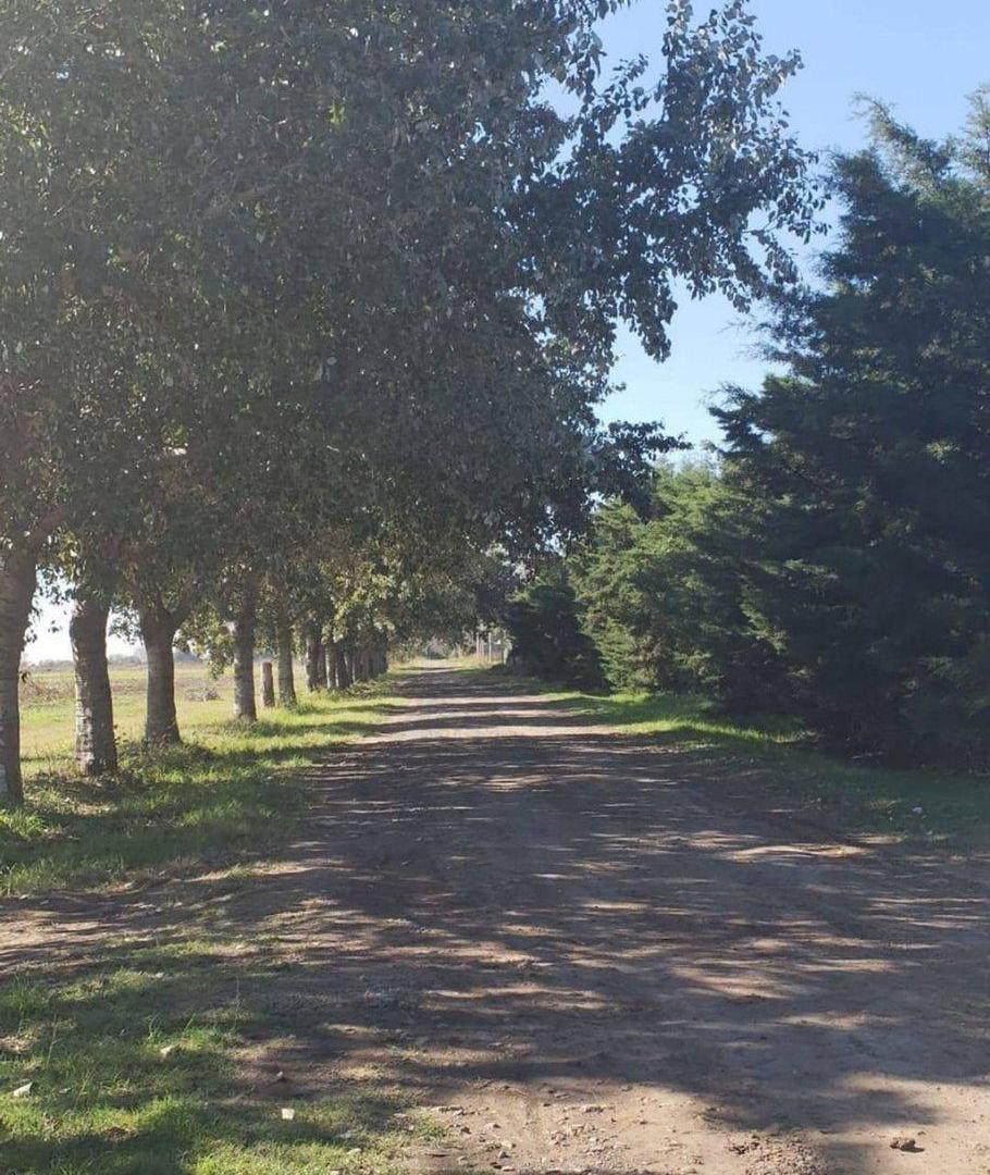 LOTE EN VENTA BARRIO EL PLATEADO PUEBLO ESTHER