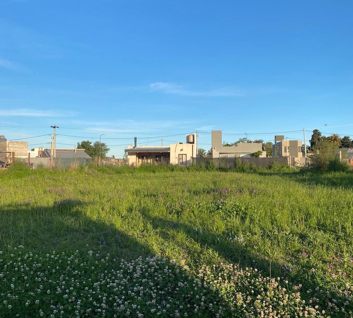 Foto de TERRENO DE 300 m2, CON MUCHO POTENCIAL EN PUEBLO ESTHER, imagen 4